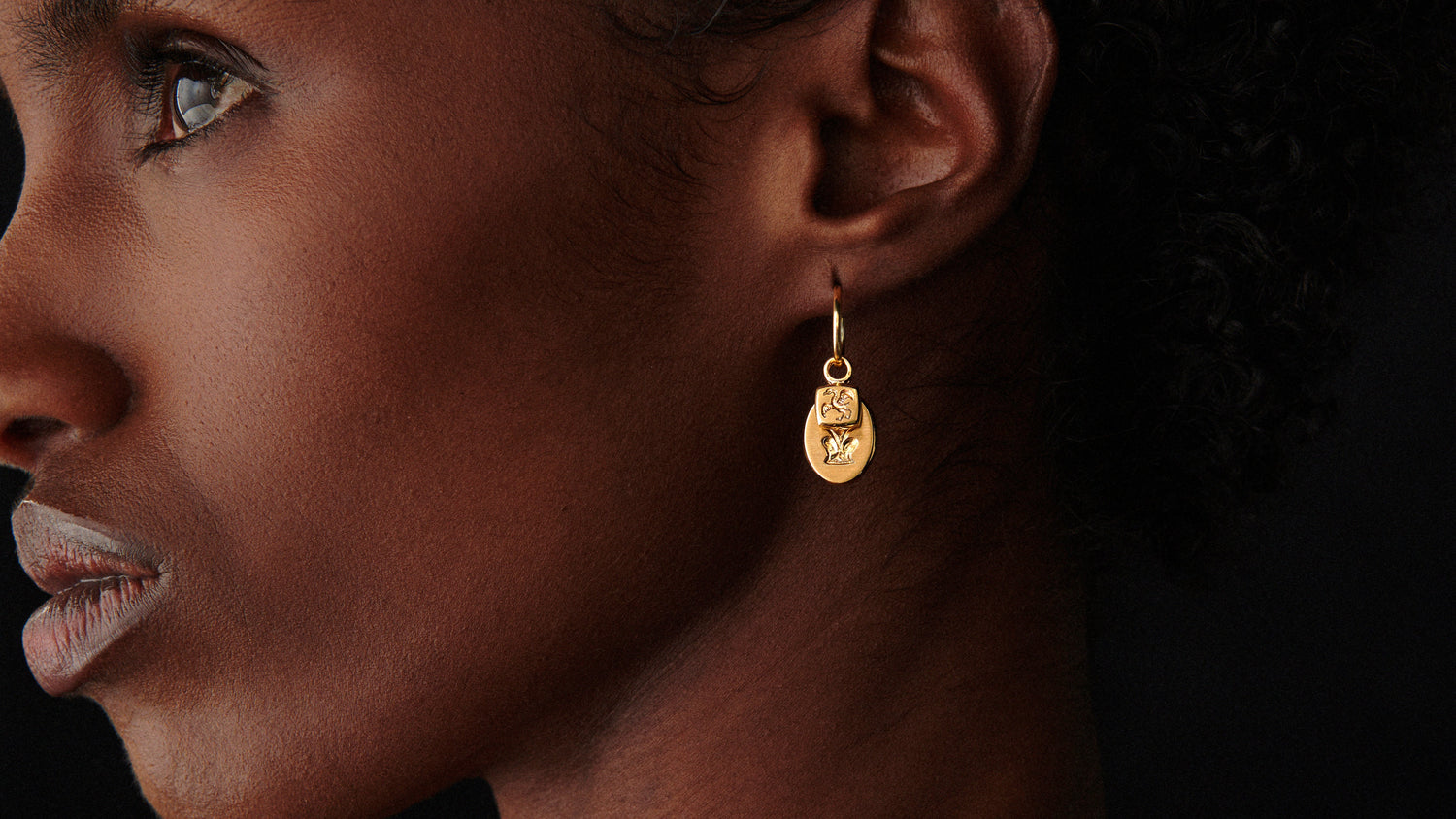 Hoop Earrings
