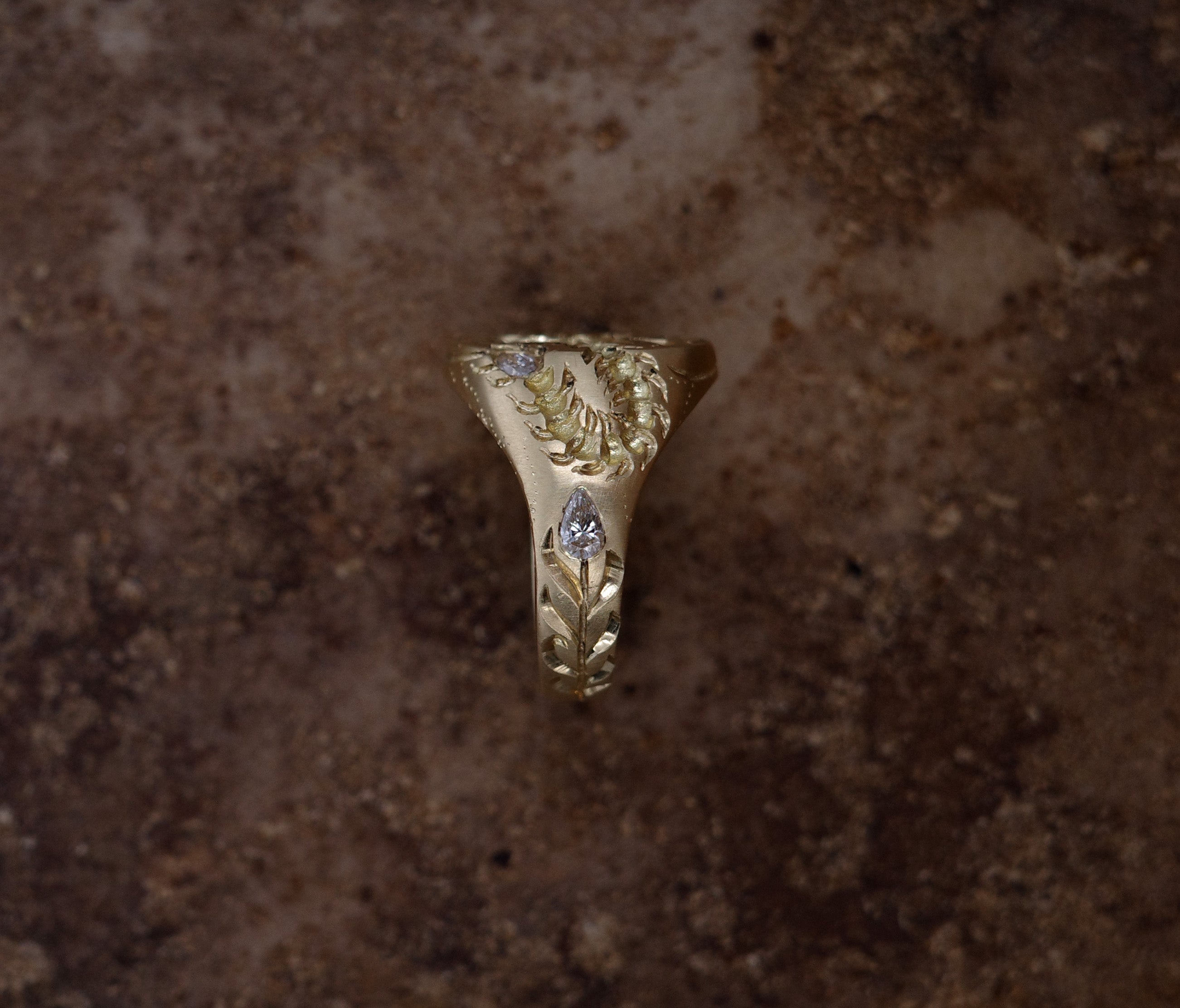Apple Core Mini Signet Ring
