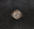 A signet ring with a cream-colored top featuring brown dragon illustrations and a central cluster of clear stones, set against a dark textured background.