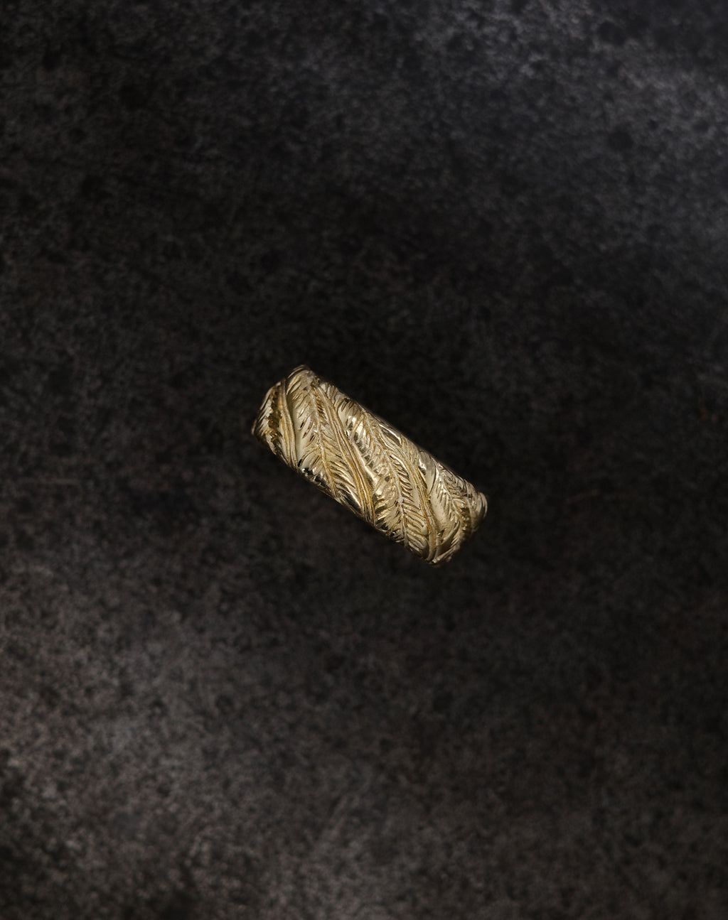 Feather Band
