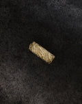Feather Band